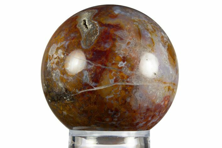 Colorful Polished Petrified Palm Root Sphere - Indonesia #330178